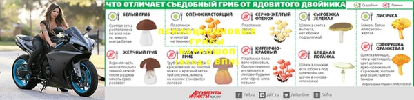 эйфоретик Алексин