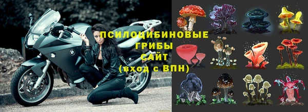 эйфоретик Алексин