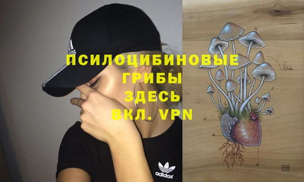прущие крисы Сатка