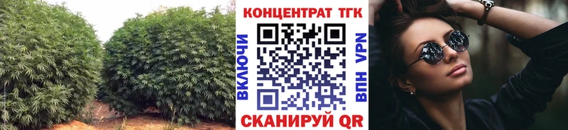 ТГК концентрат  площадка телеграм  Жирновск 