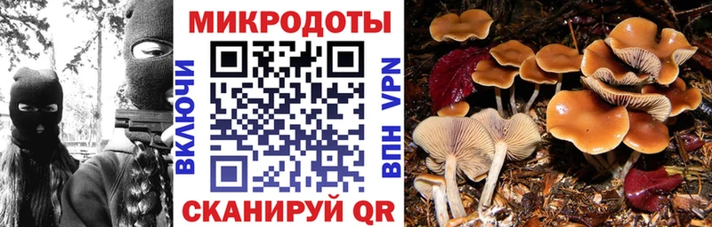 Галлюциногенные грибы MAGIC MUSHROOMS  Жирновск 